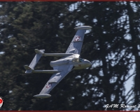 TSR Watermark - 0477